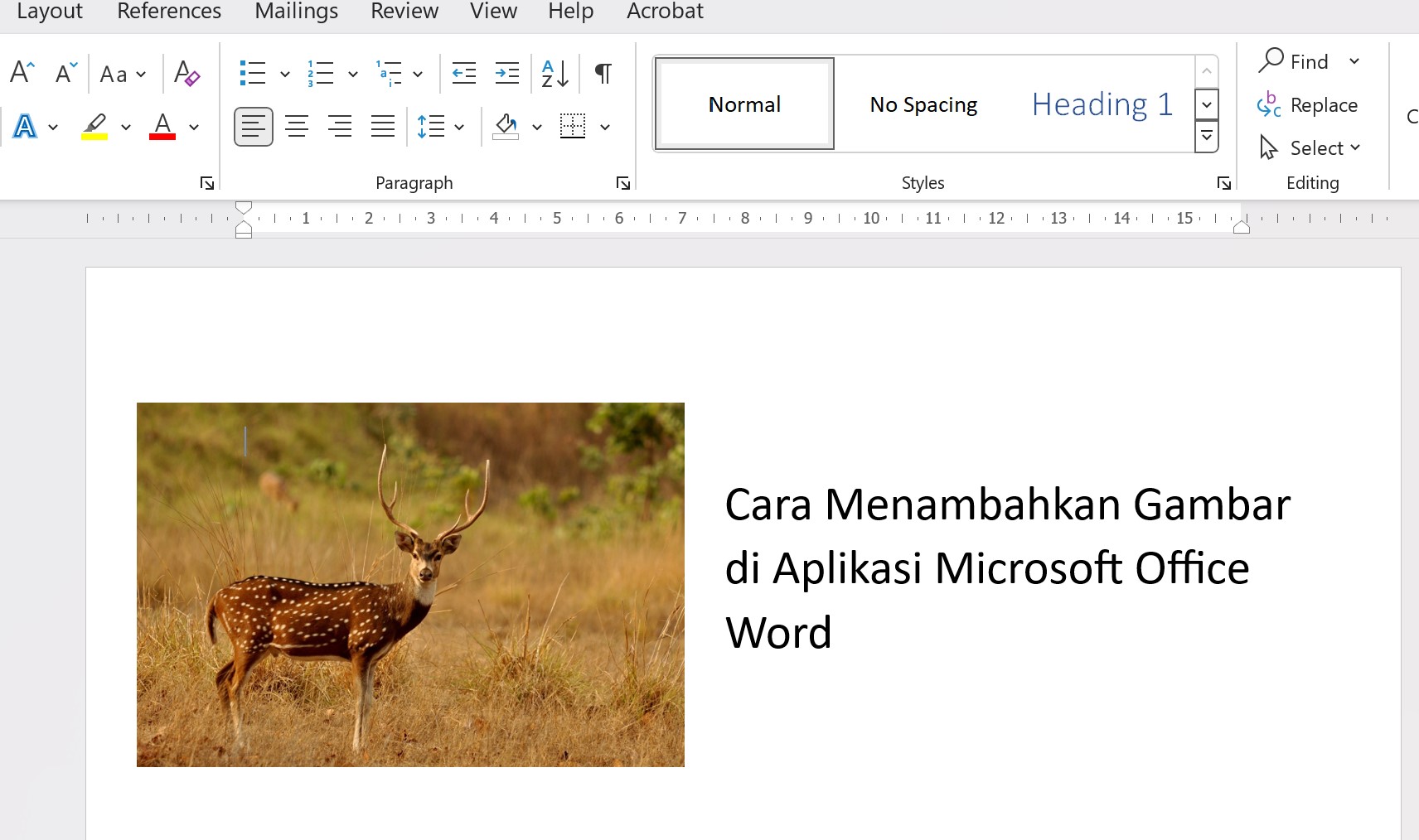Aplikasi Foto Windows 11 Menambahkan Lebih Banyak Efek Gambar Emka Web Idwindows 11 Wallpaper Aplikasi Foto Windows 11 Menambahkan Lebih Banyak Efek Gambar Emka Web Idwindows 11 Wallpaper