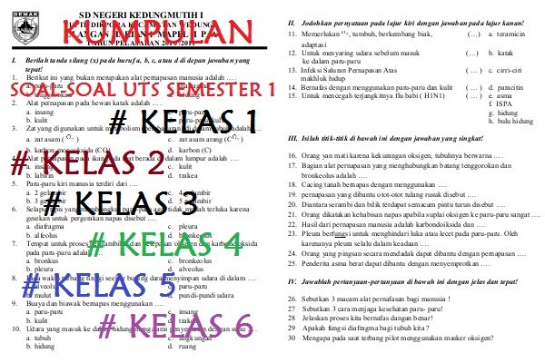 Soal Uts Btq Kelas 4 Semester 2 Dan Kunci Jawaban - Materi Soal Soal Uts Btq Kelas 4 Semester 2 Dan Kunci Jawaban - Materi Soal