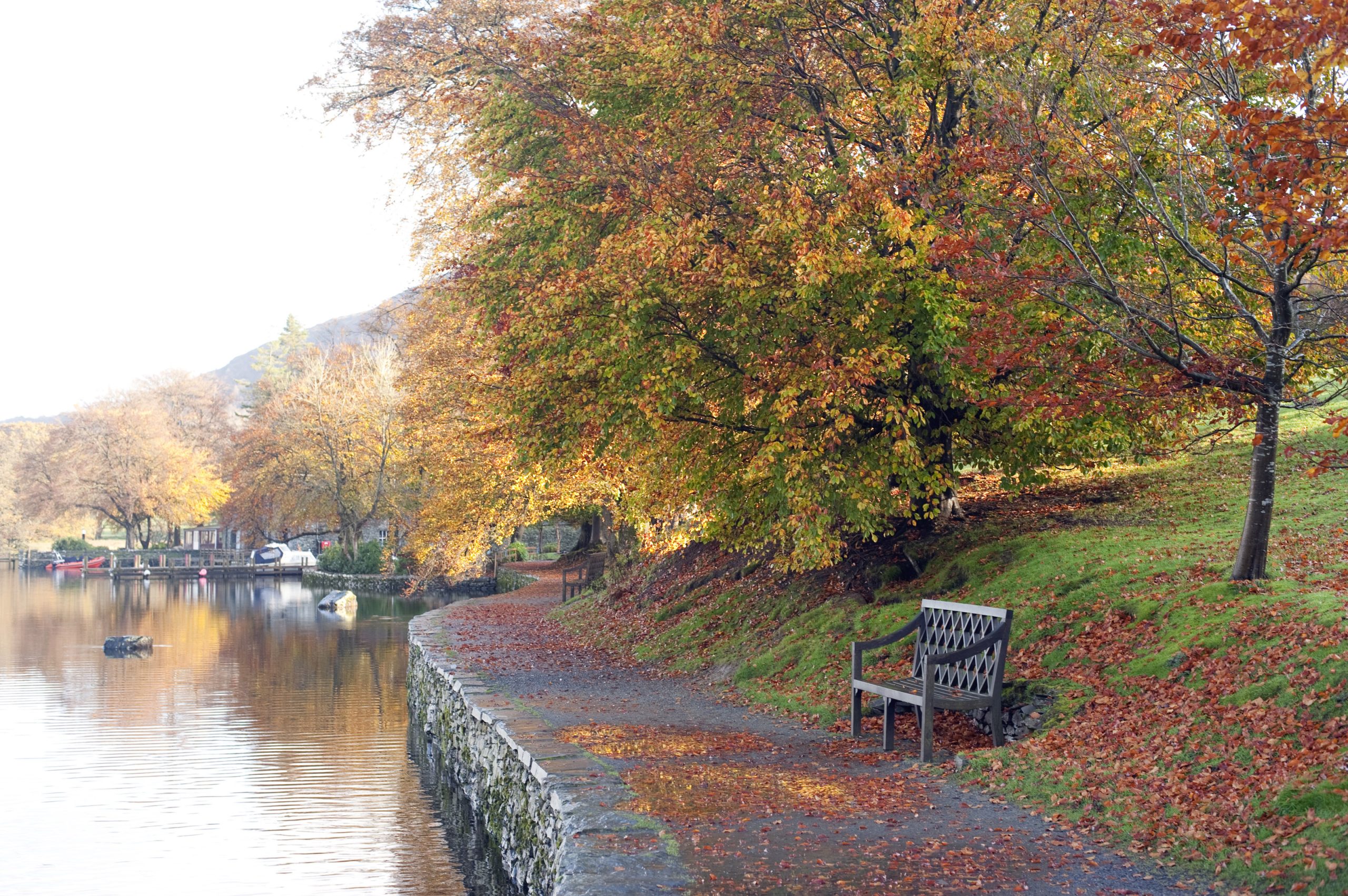 Free Stock Photo 5154 Tranquil Autumn River Scene freeimageslive Free Stock Photo 5154 Tranquil Autumn River Scene freeimageslive