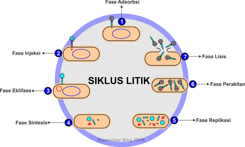 Wajib Tahu Kumpulan Soal UAS Kelas 3 SD Semester 2 KTSP Agar Nilai Anak Melejit